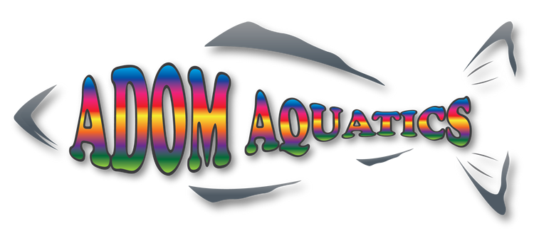 Adom Aquatics Swim School